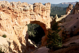 USA Bryce Canyon<br>NIKON D200, 20 mm, 100 ISO,  1/250 sec,  f : 8 